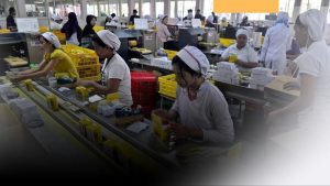 Pekerja sektor informal TUCenter
