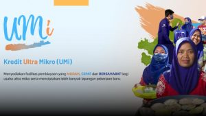 Pembiayaan ultra mikro
