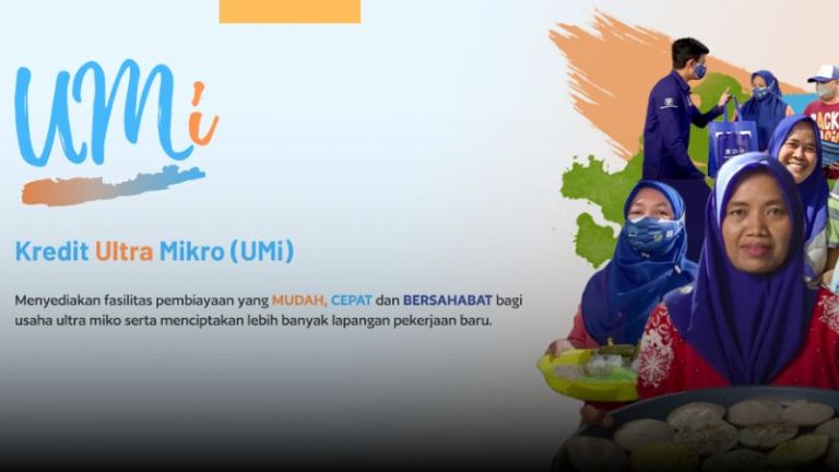 Pembiayaan ultra mikro
