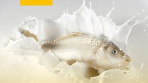 Susu Ikan