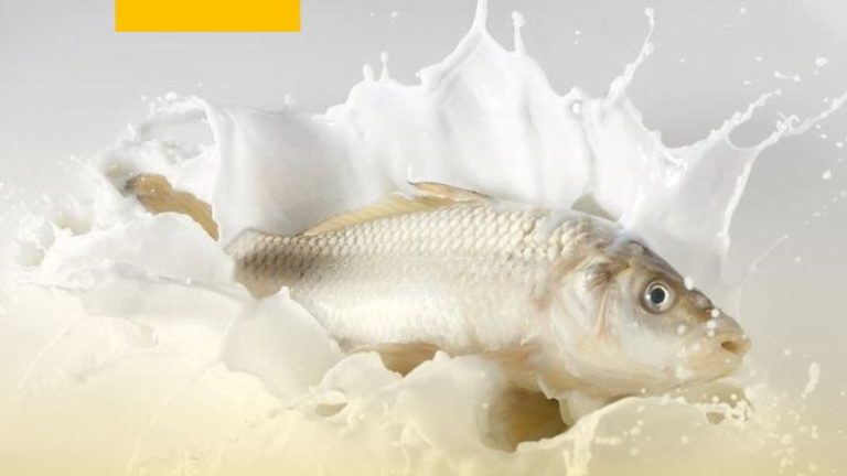Susu Ikan